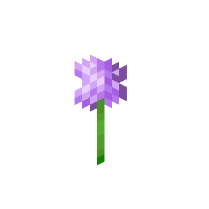 File:Allium.png