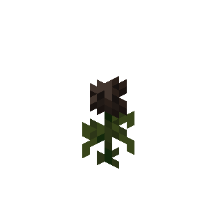 File:Wither rose.png