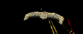 Thumbnail for version as of 17:00, 2 June 2026