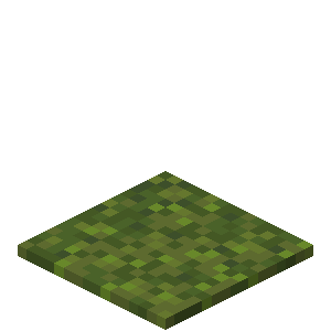 File:Moss carpet.webp