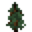 Invicon Spruce Sapling.png: Inventory sprite for Spruce Sapling in Minecraft as shown in-game linking to Spruce Sapling with description: Spruce Sapling