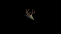 Thumbnail for version as of 23:49, 1 June 2026