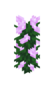 Thumbnail for version as of 15:54, 11 July 2026