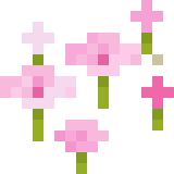 File:Pink Petals.webp