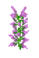 Thumbnail for version as of 15:58, 11 July 2026