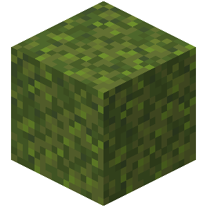 File:Moss block.webp