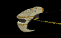 Thumbnail for version as of 17:01, 2 June 2026