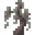 Thumbnail for version as of 21:00, 4 July 2026