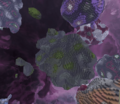 Thumbnail for version as of 14:16, 19 August 2026