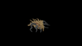 Thumbnail for version as of 00:05, 2 June 2026